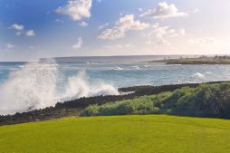 Solares del Farallón Trump 